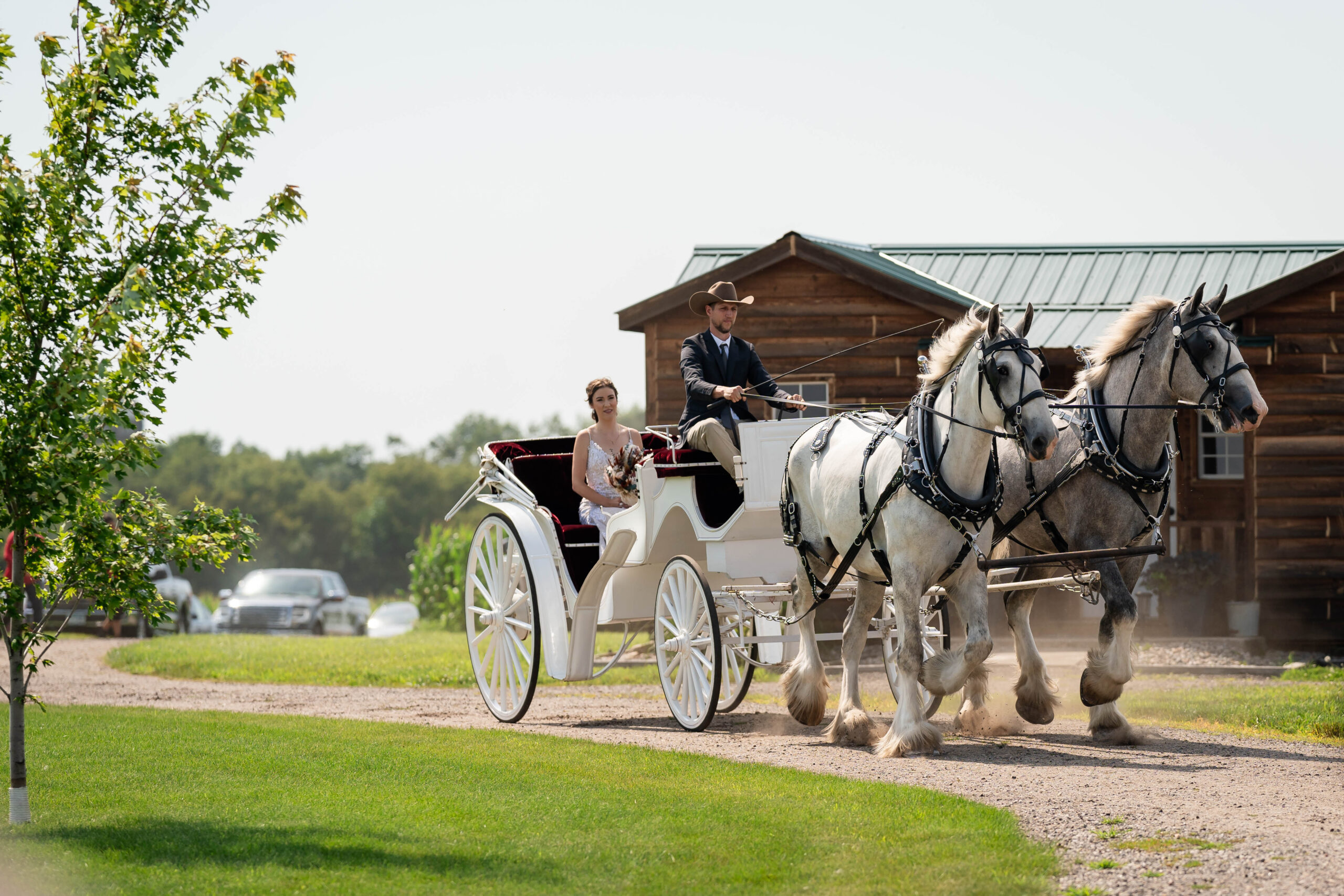Horse and carriage ride at an outdoor wedding venue in georiga