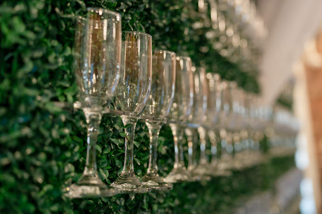 Champagne glasses on a greenery wall for wedding toast.