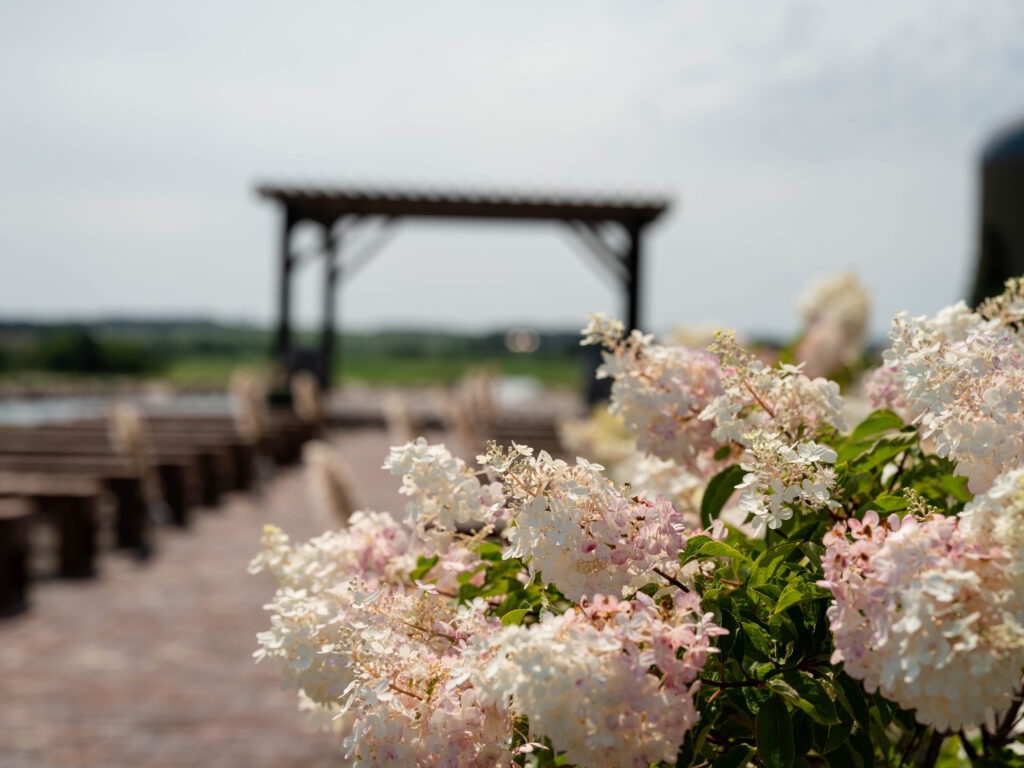 Outdoor Wedding venue in Georgia surrounded by hydrangeas overlooking a rustic arch
