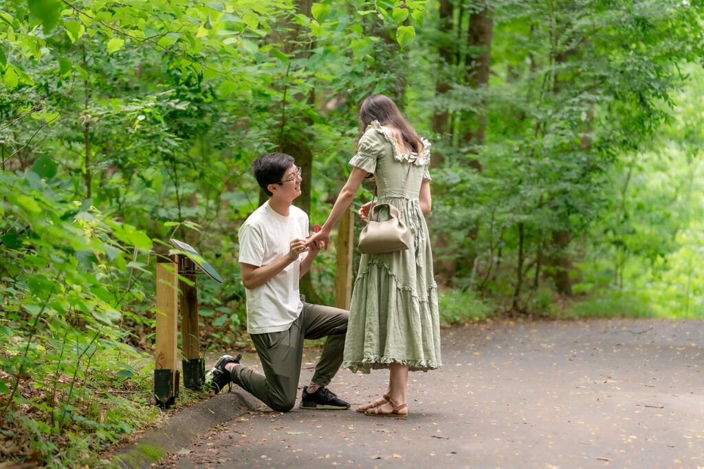 Surprise engagement In Fernbnak Forest. Proposal photos by Kalyn Wolf